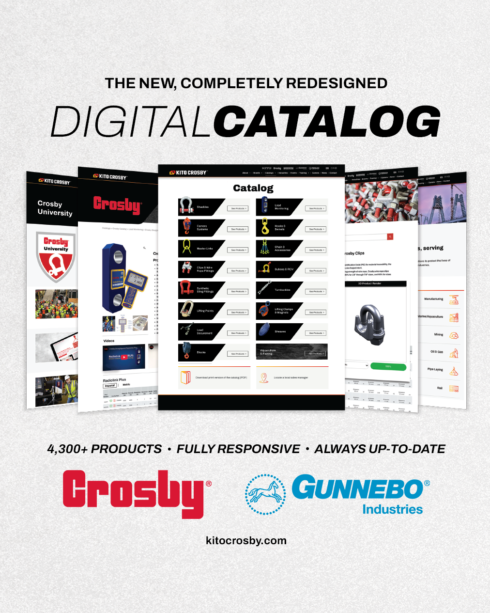 Digital-Catalog-Launch_IG-2